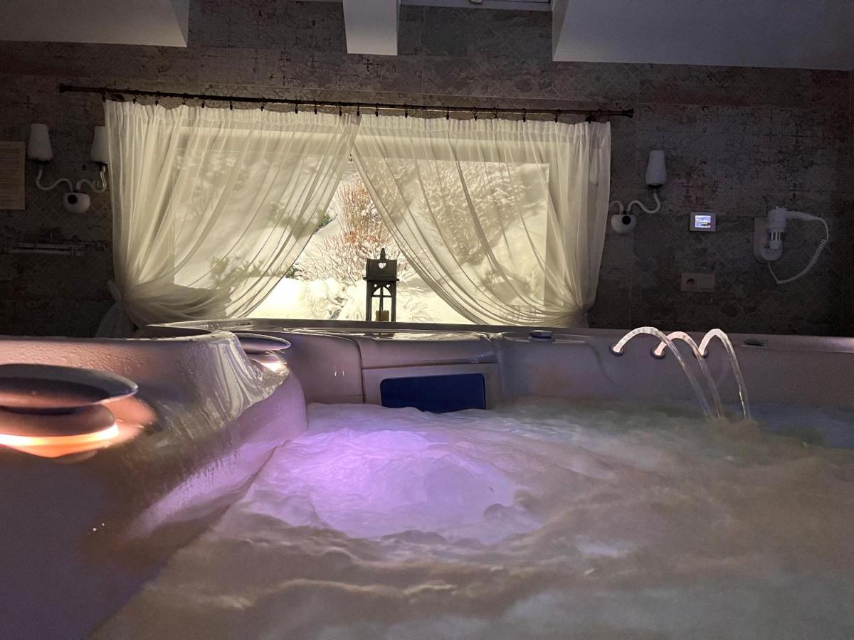 Willa pod Czantorią SPA Ustroń - Housity