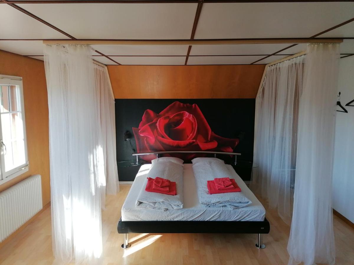 Like on cloud nine - Apartment in Emmental - Housity