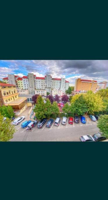 Comfort Zone Old Town - Housity