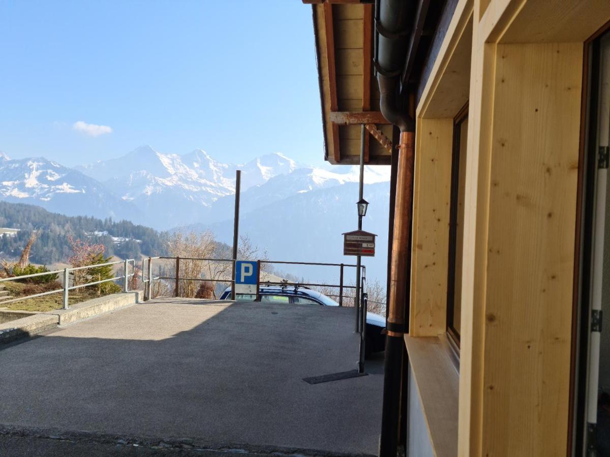 Chalet Lilo New Studio - Housity