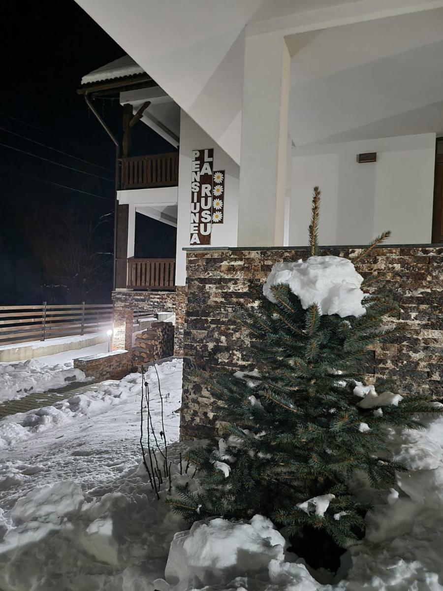 Agropensiunea turistică La Rusu - Housity