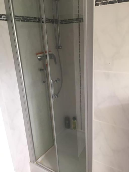 Penthouse Bernd im Waldschlösschen direkt am See - Housity