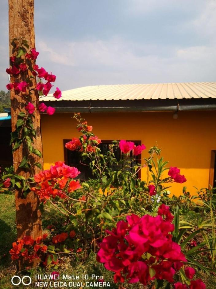 Damrey So Garden - Housity