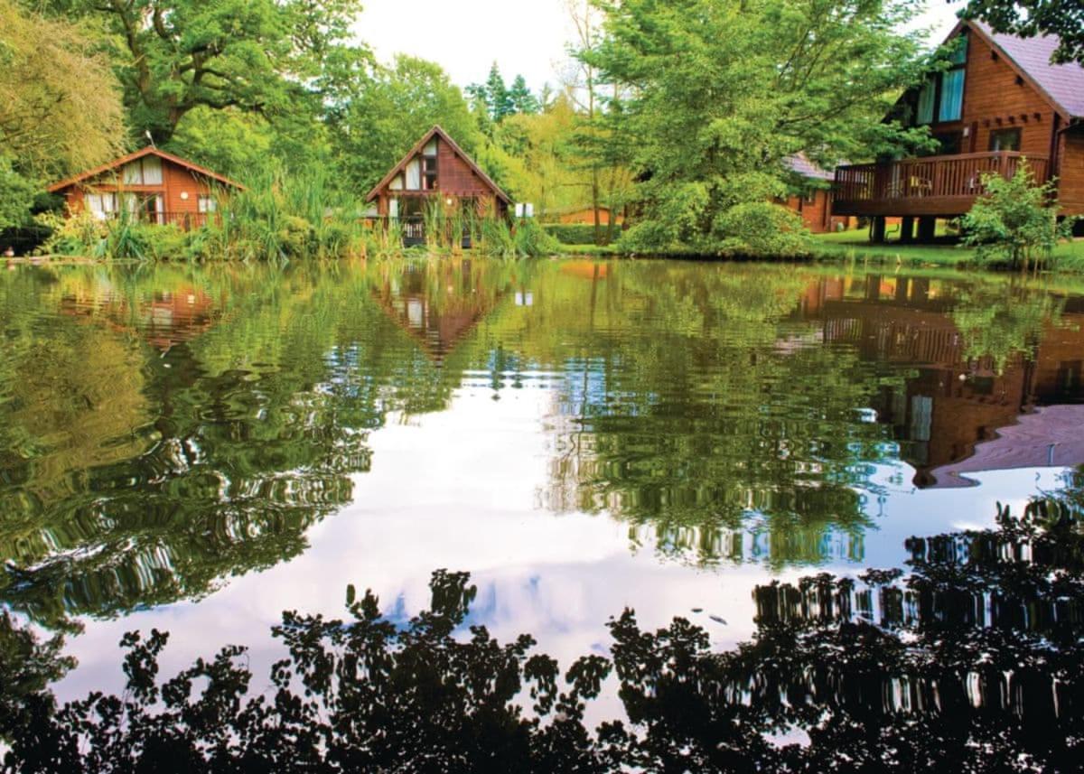 Whitemead Forest Park - Housity