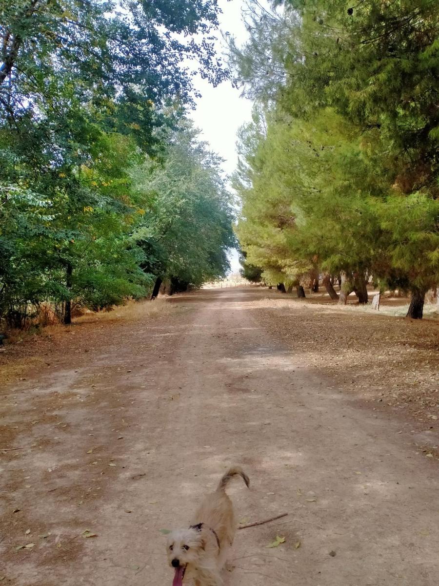 Suitetrails - El Refugio Bed & Breakfast