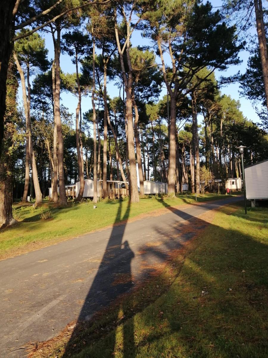 Mobilhome 6/8 personnes Piriac sur Mer - Housity