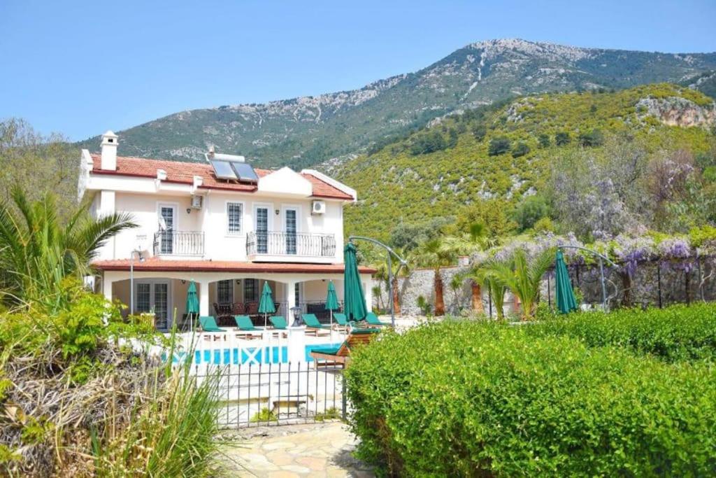 Villa Paradise Found - Housity