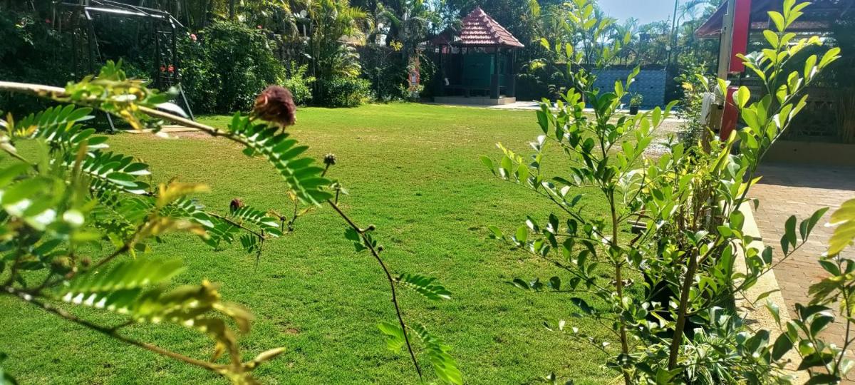 Mountview Resort - Housity