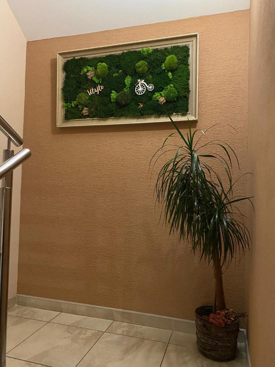 Apartmán pri parku - Housity