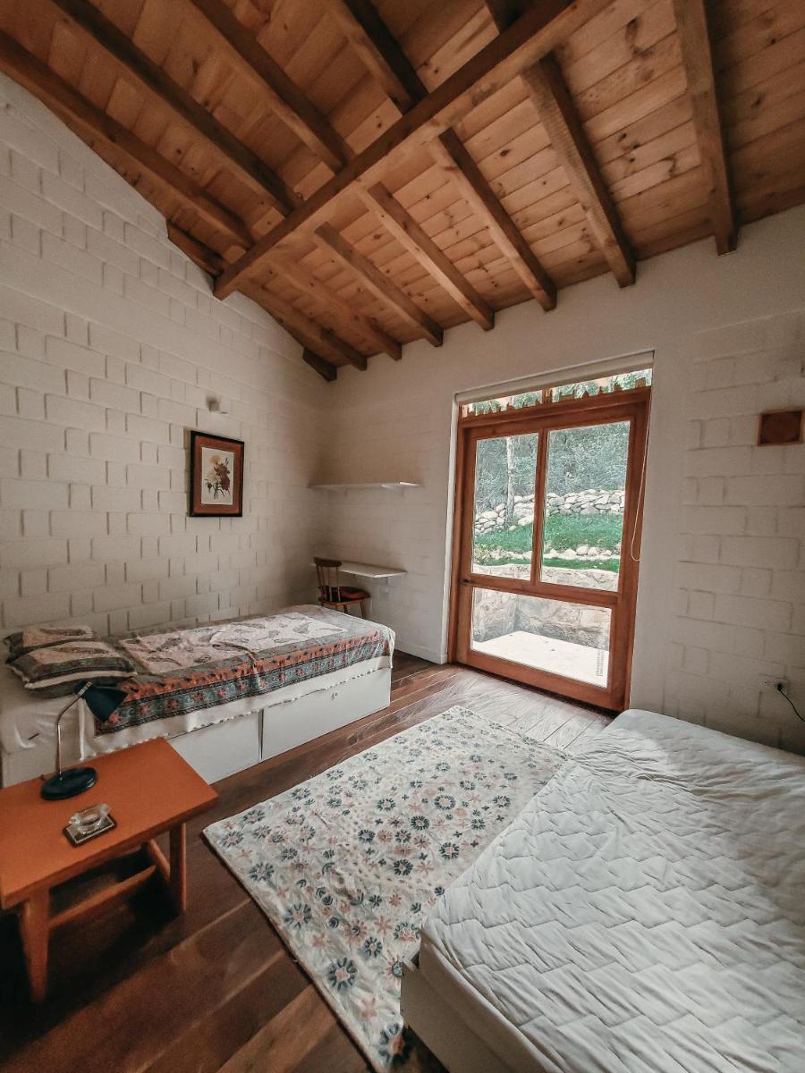 Catigua Reserva de Autosananción - Hizvo