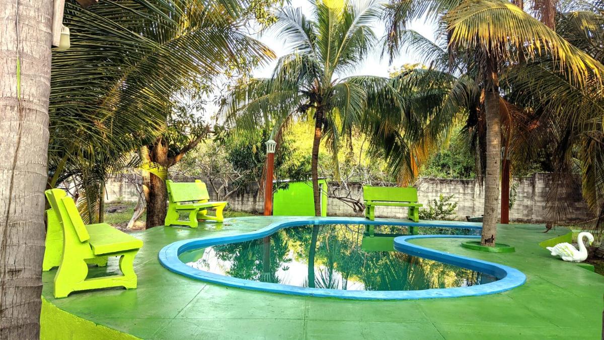 Casa Palmeras - Housity
