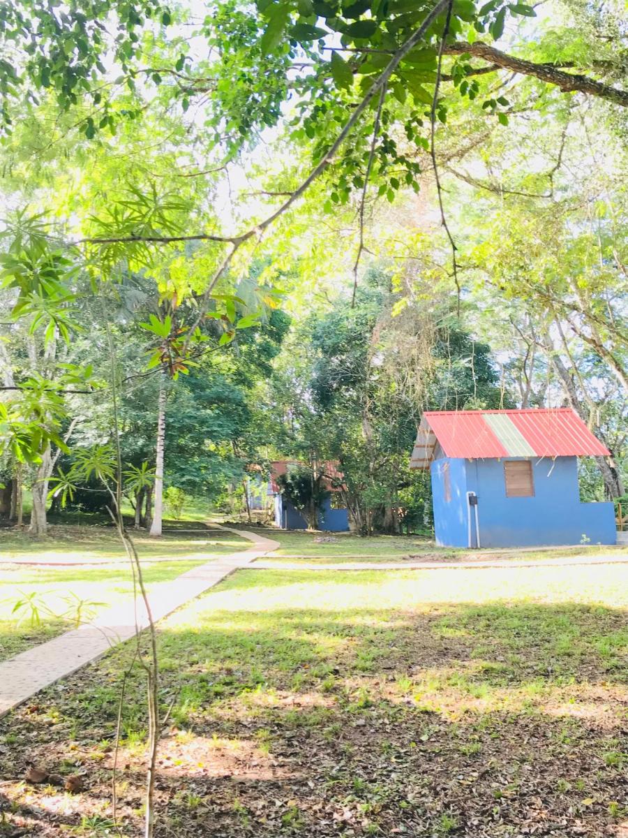 Mango Walk Inn - Housity