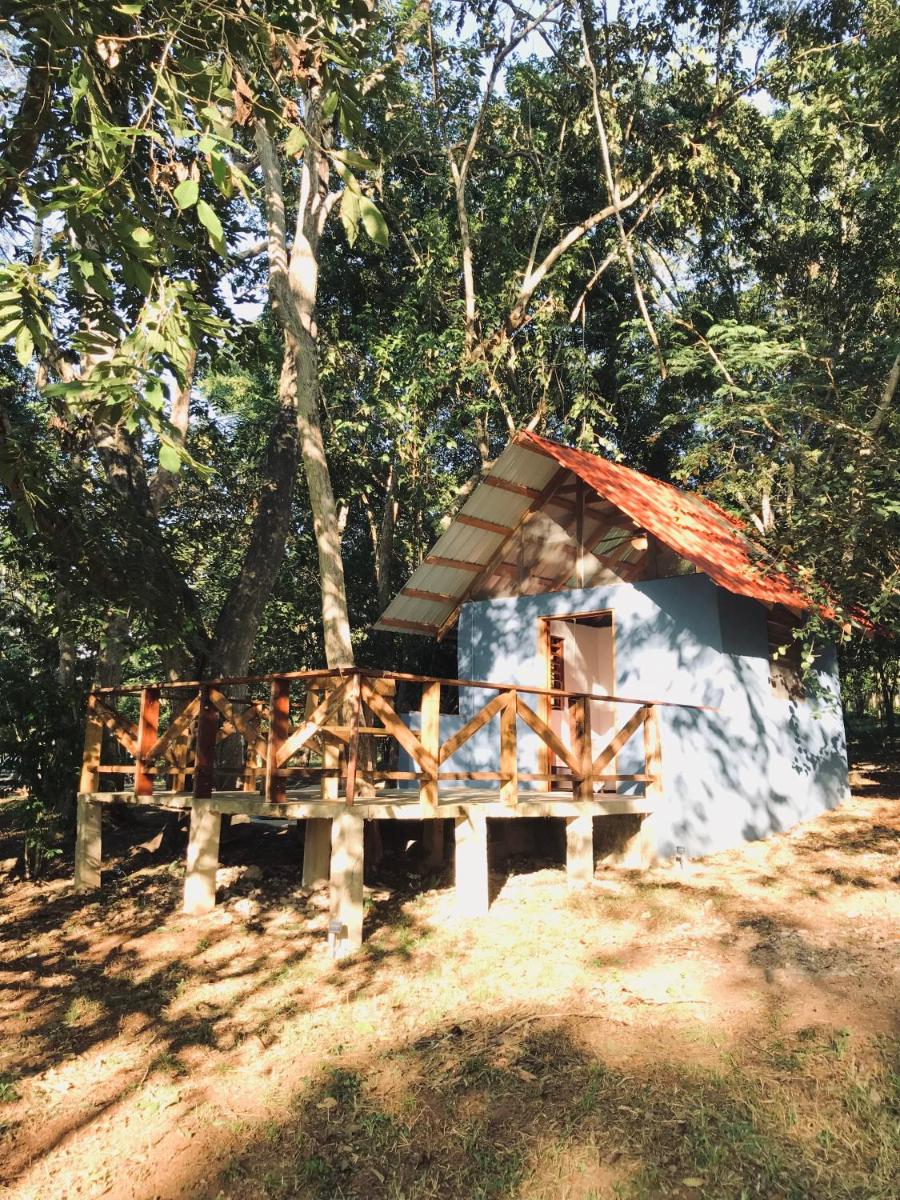 Mango Walk Inn - Housity
