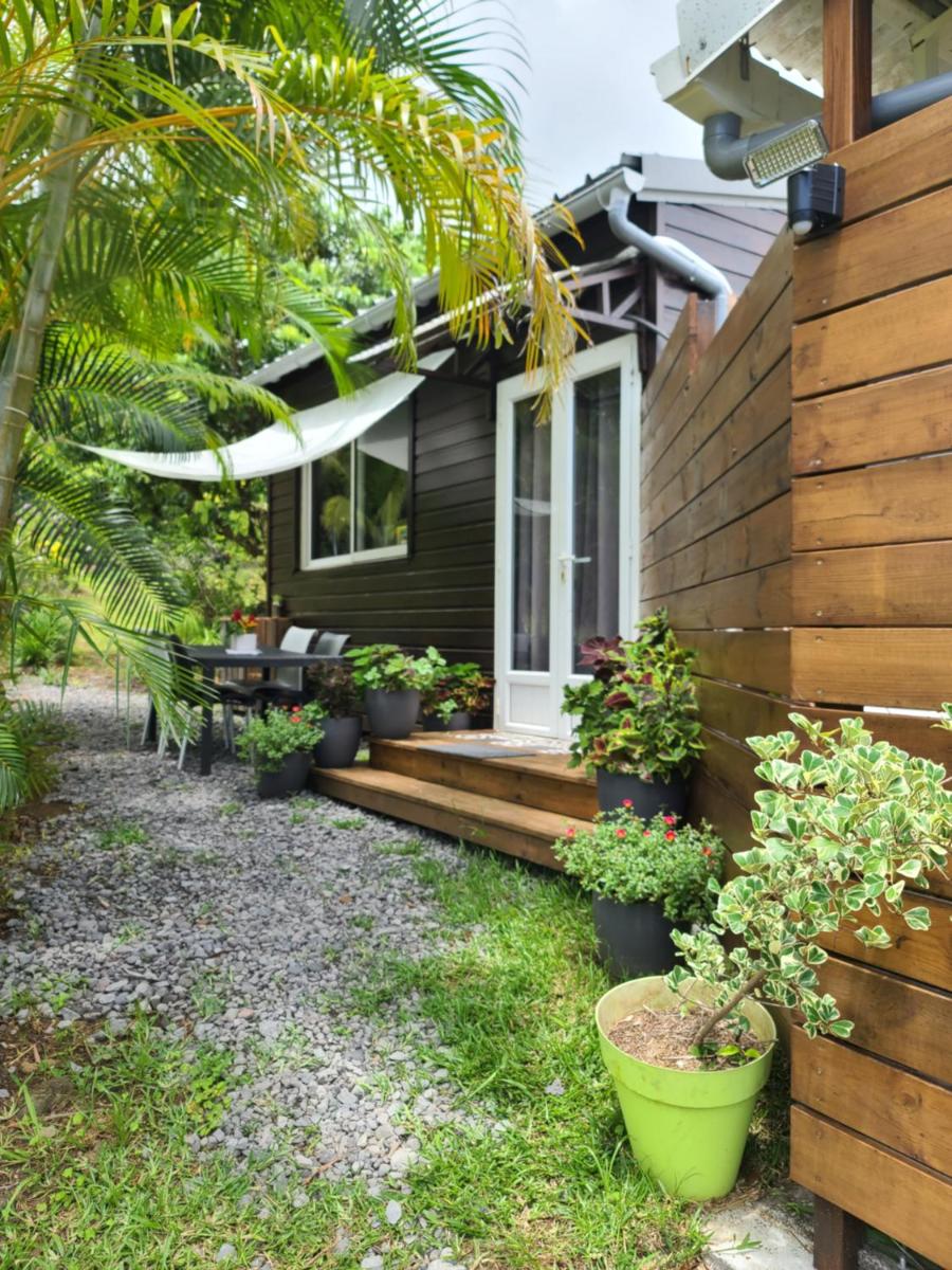 Eden des laves - Housity