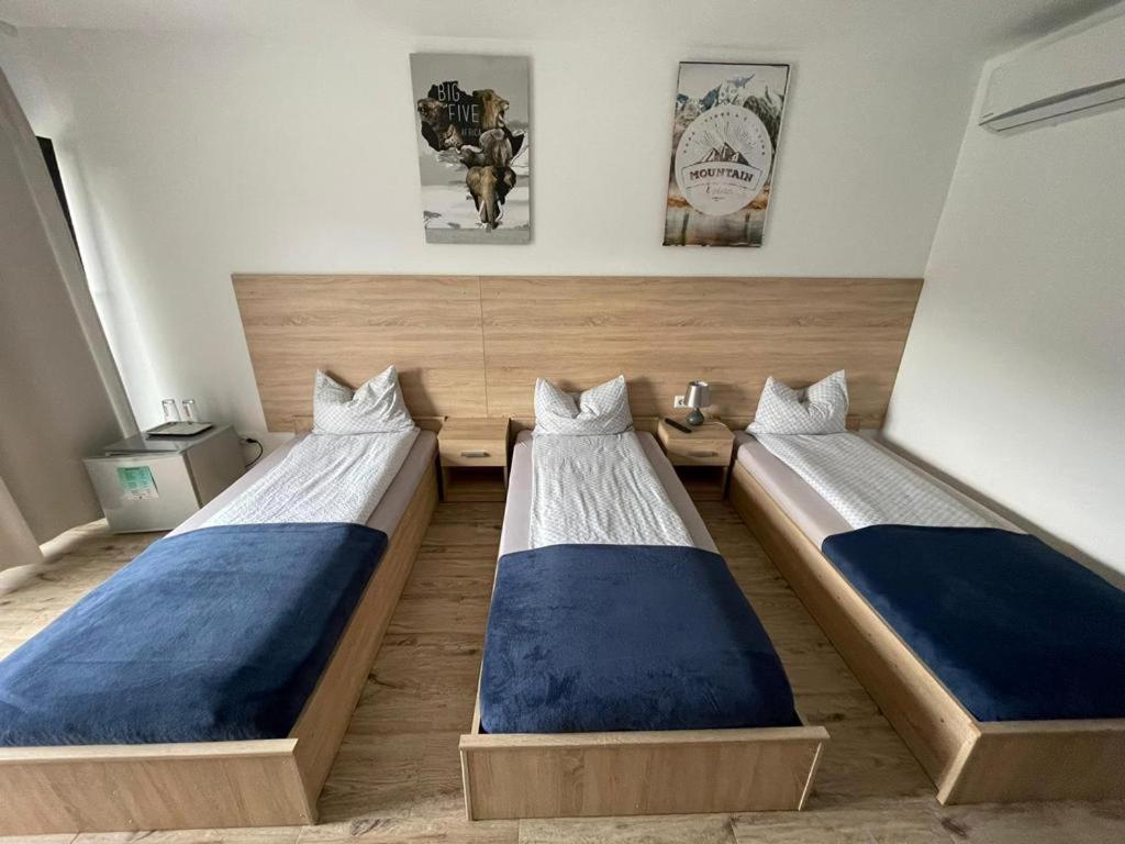 Pensiune CasaMircea - Housity