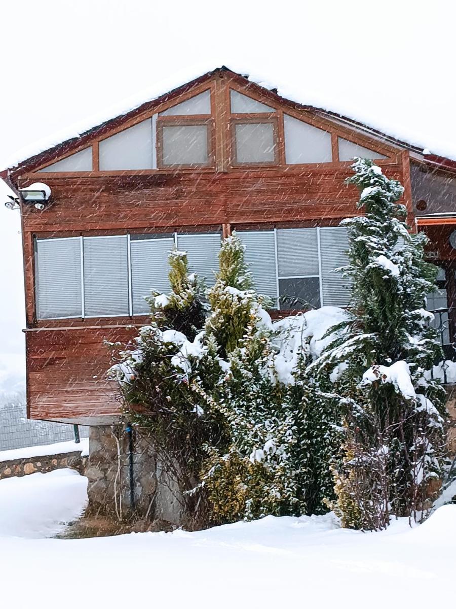 AHŞAP EV, DOĞAL YAŞAM, MÜKEMMEL DOĞA, KUŞ SESLERİ - Housity