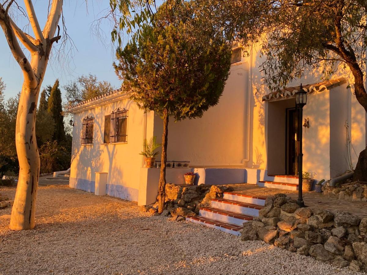 Dragonfly House Spain - Housity