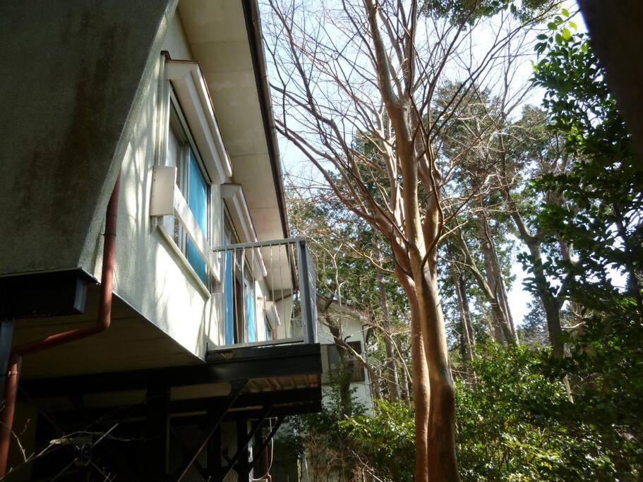 ■ウッドテラスでBBQ＆源泉掛け流し温泉付きの一棟貸切の貸別荘■伊豆(熱川)を遊びつくそう - Housity