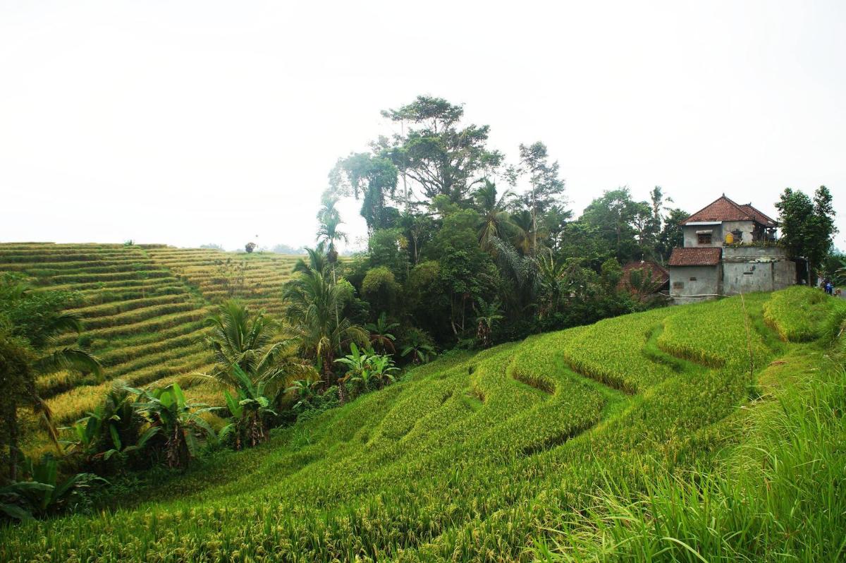 Yeh Panes Hot Spring Resort - Housity