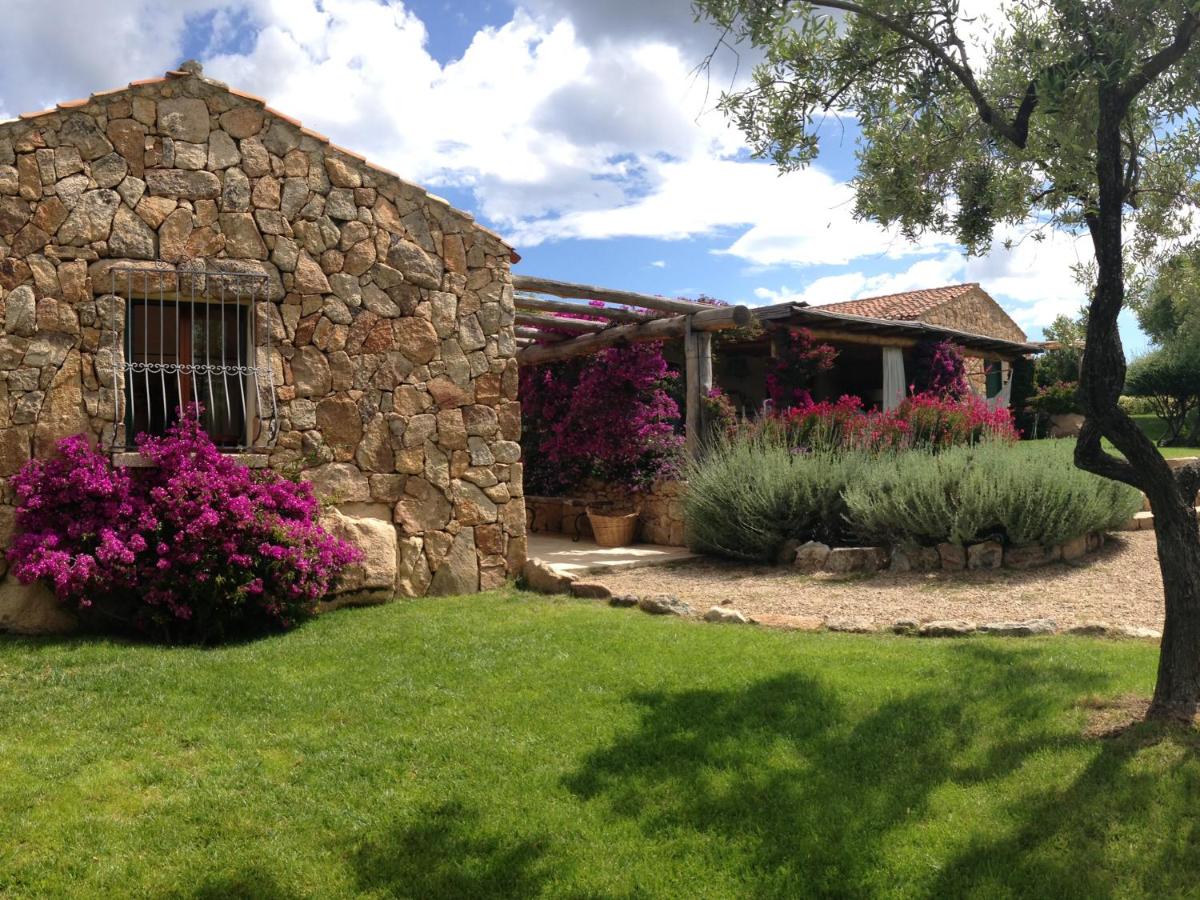 Albero Capovolto - Housity