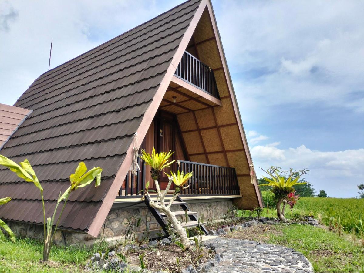 Magical Breeze Cabin - Housity