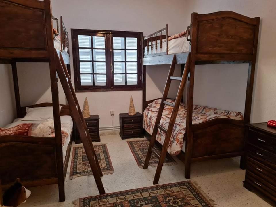 Dar Monia Aïn-Draham - Housity