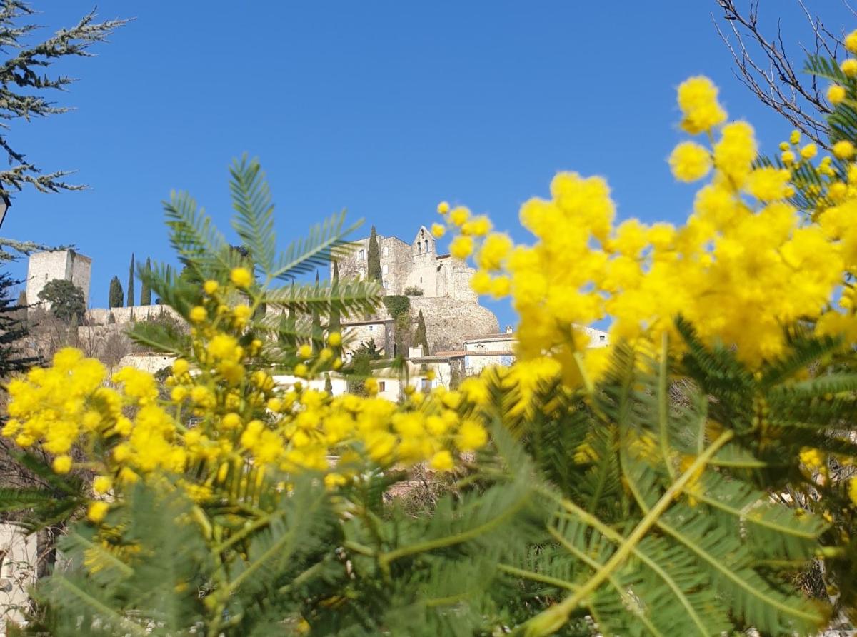 Pause couleur Lavandula - Housity