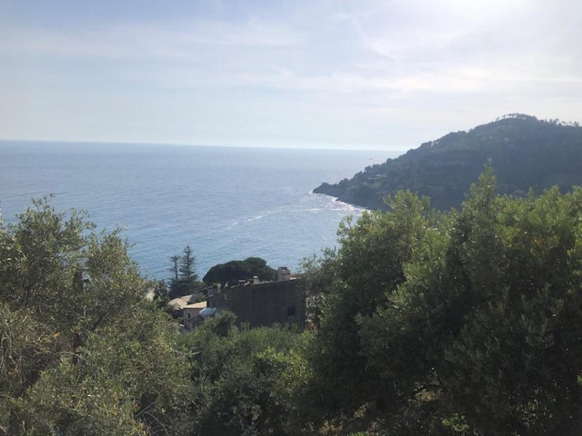 Casa Orchidea - Vista Mare meravigliosa - Housity