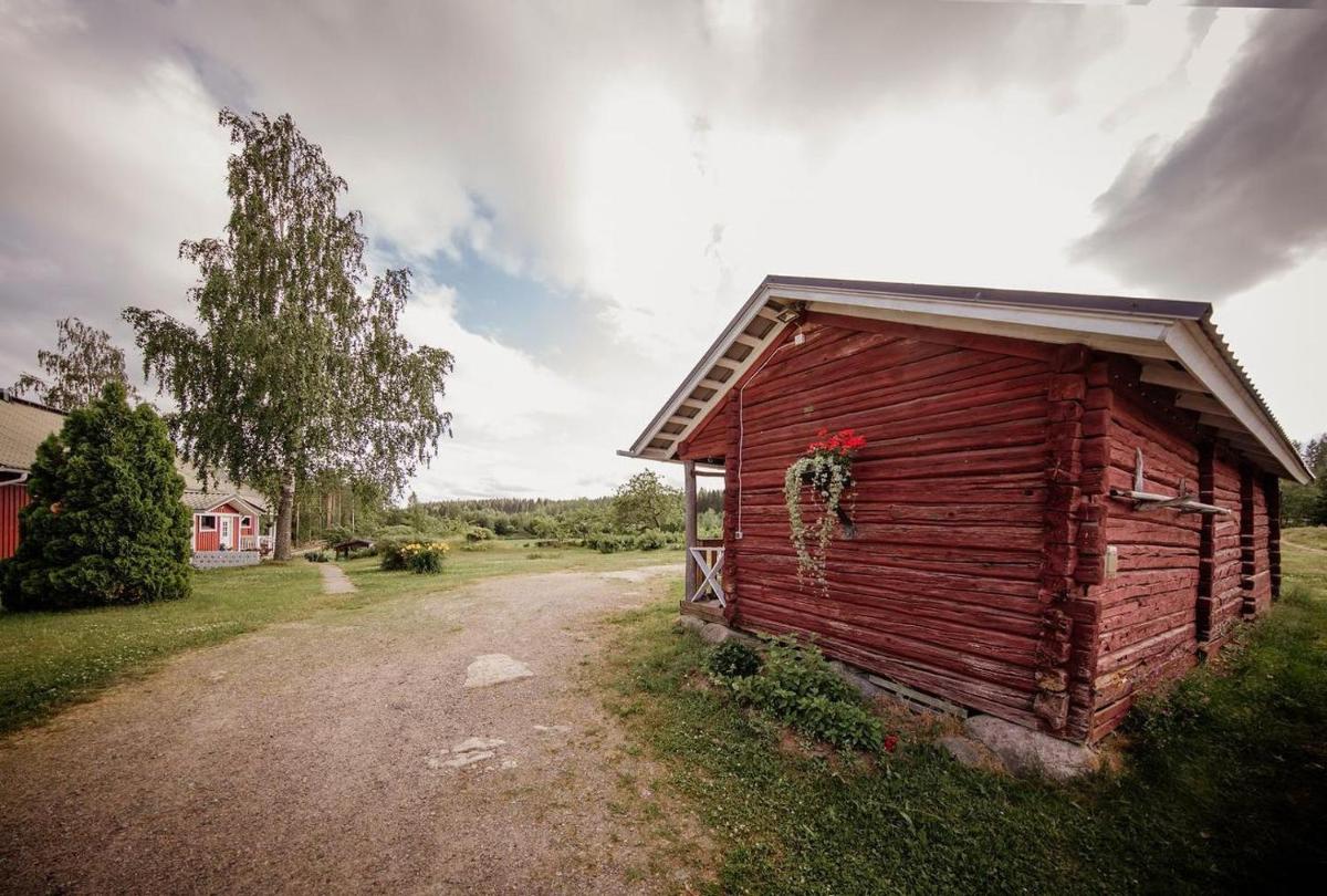 Lamminmäen Juhla ja Peti - Housity