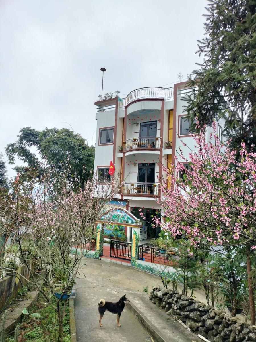 Ngựa Bay B&B - Housity