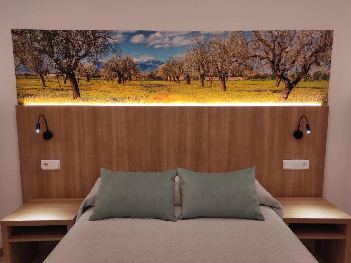 Hostal Nadal - Housity