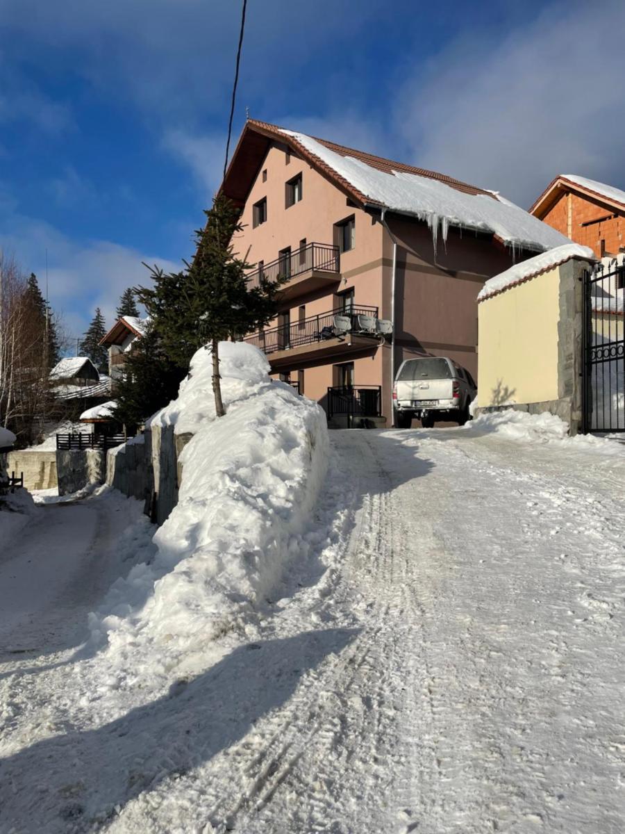 Pensiunea Joe Paltinis - Housity