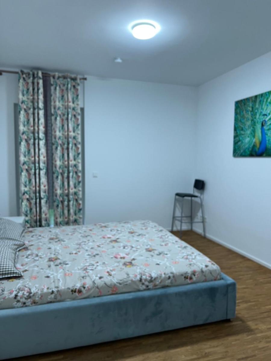 Three Bedroom apartment in City centre with a Grand Garden - Housity
