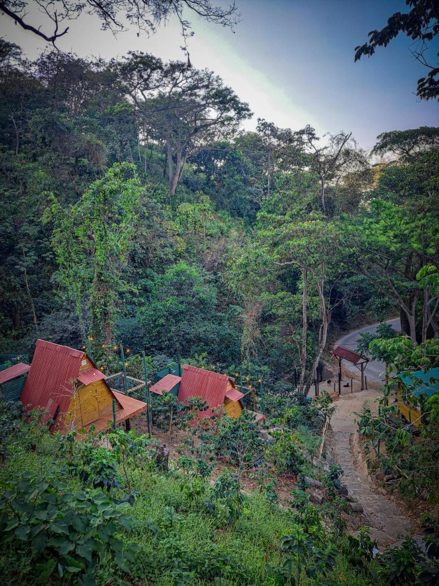 ECO Cabin - TANOA Minca - Housity