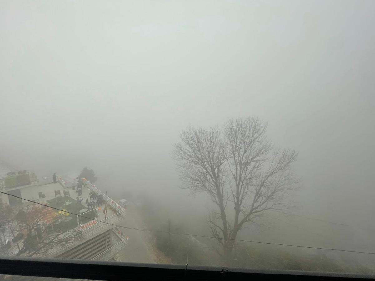 Misty Cliff Cottage - Housity