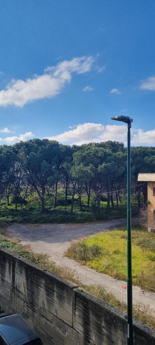 Suitetrails - Home Mery