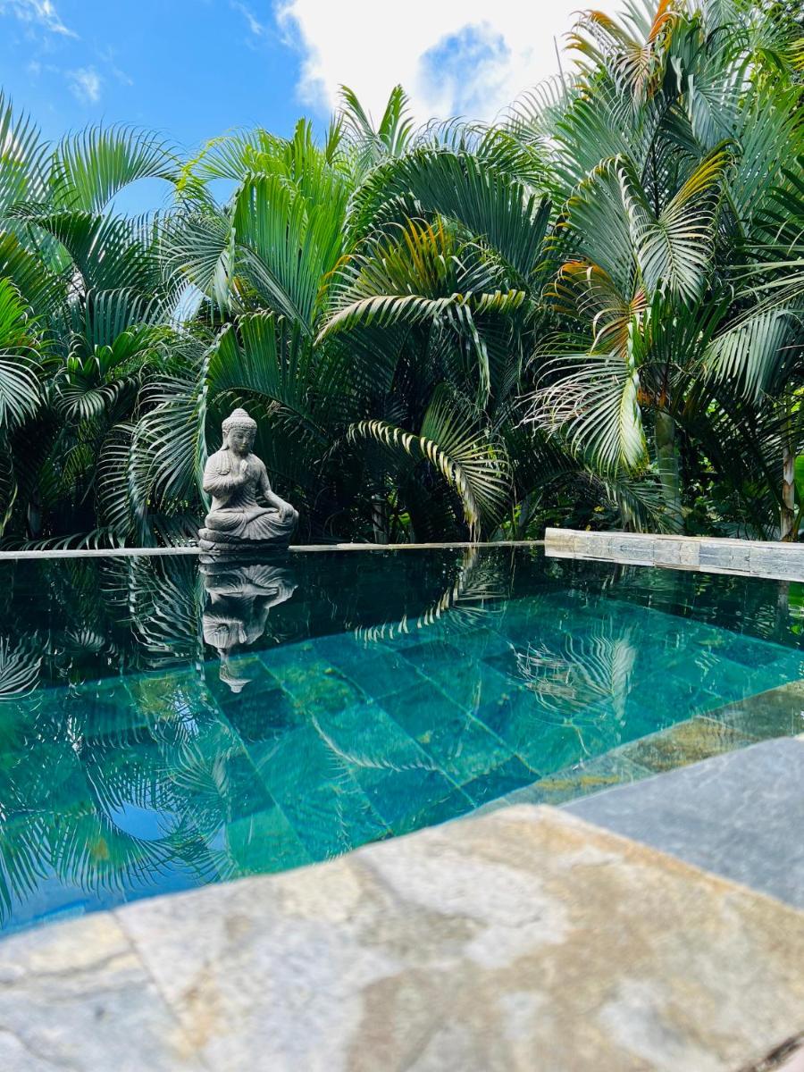 Ô Palm : dans un petit écrin de verdure - Housity