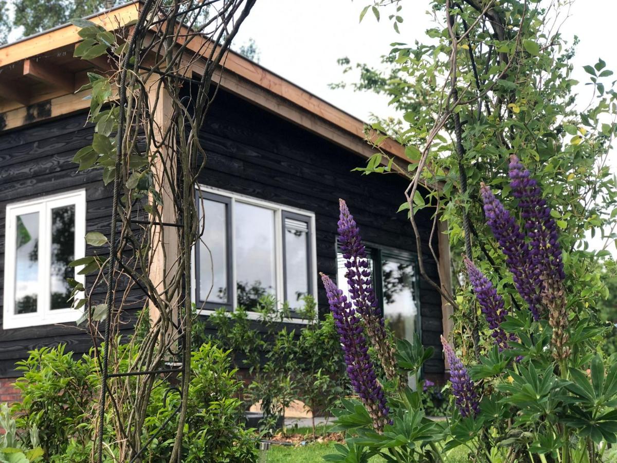 Bed & Breakfast Bij de Wilg - Housity