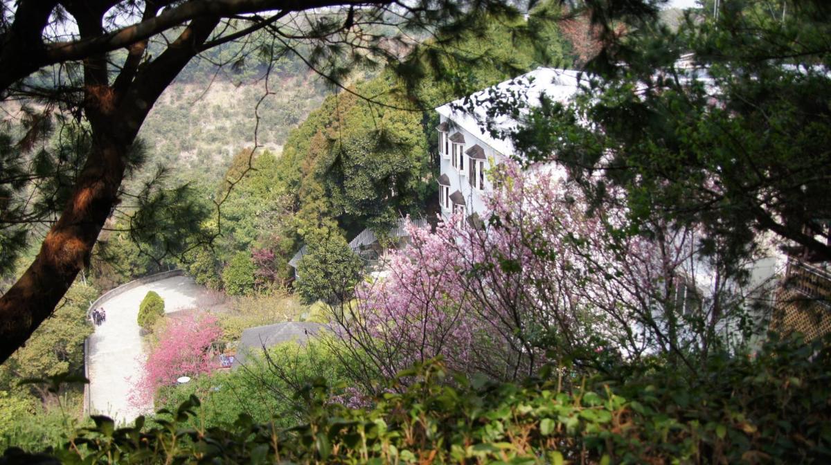 Meteor Garden B&B - Housity