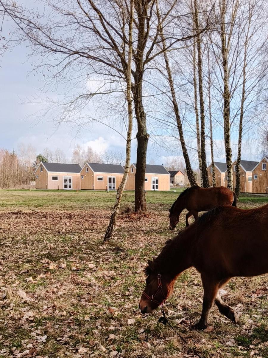 ZAGAJNIK Country Camp obok Suntago - Housity