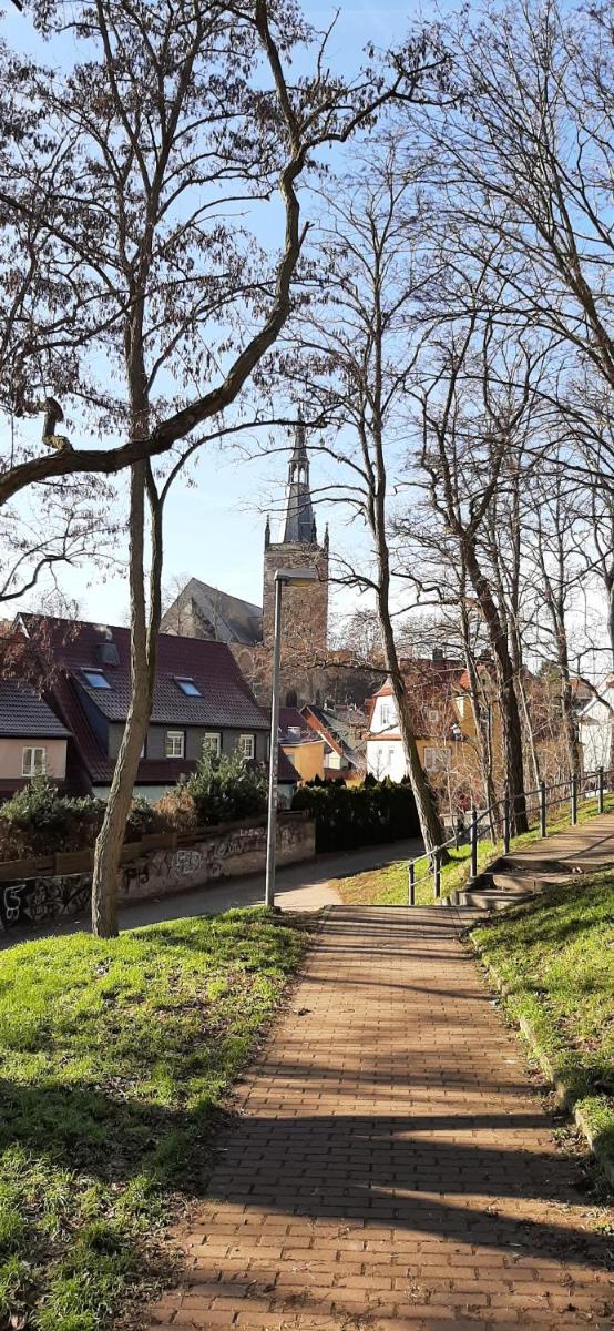 Apartment Lutherrose - Housity