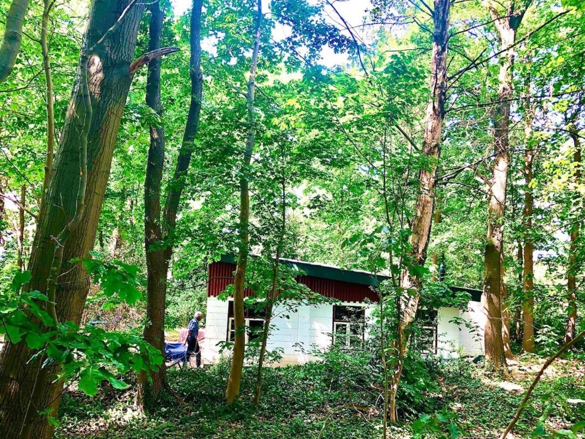 Boshuis en Landhoeve vakantiehuis - Housity