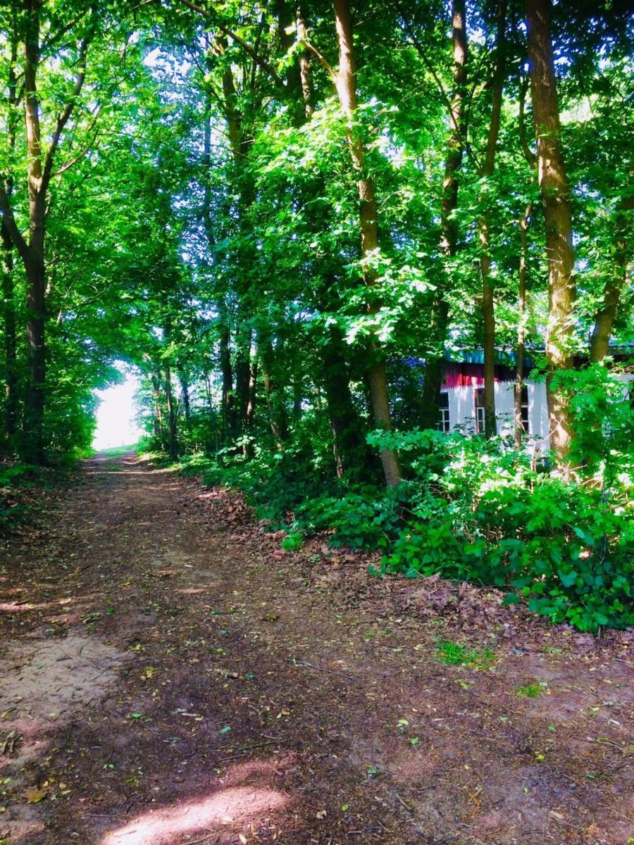Boshuis en Landhoeve vakantiehuis - Housity