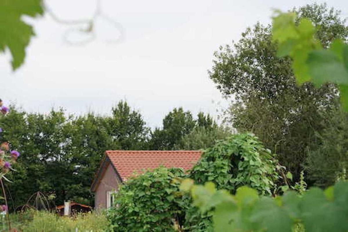 Boshuis en Landhoeve vakantiehuis - Housity