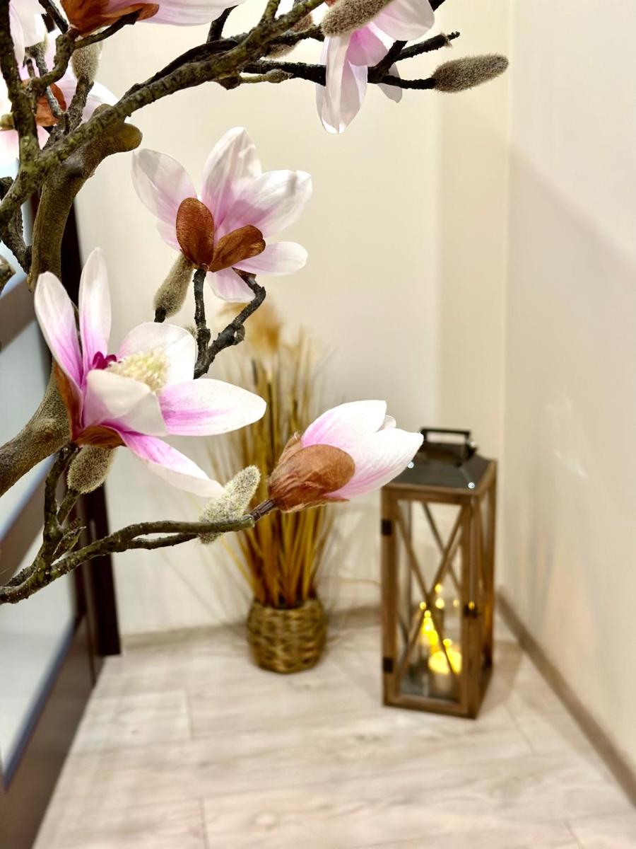 Apartament "Marka" - Housity