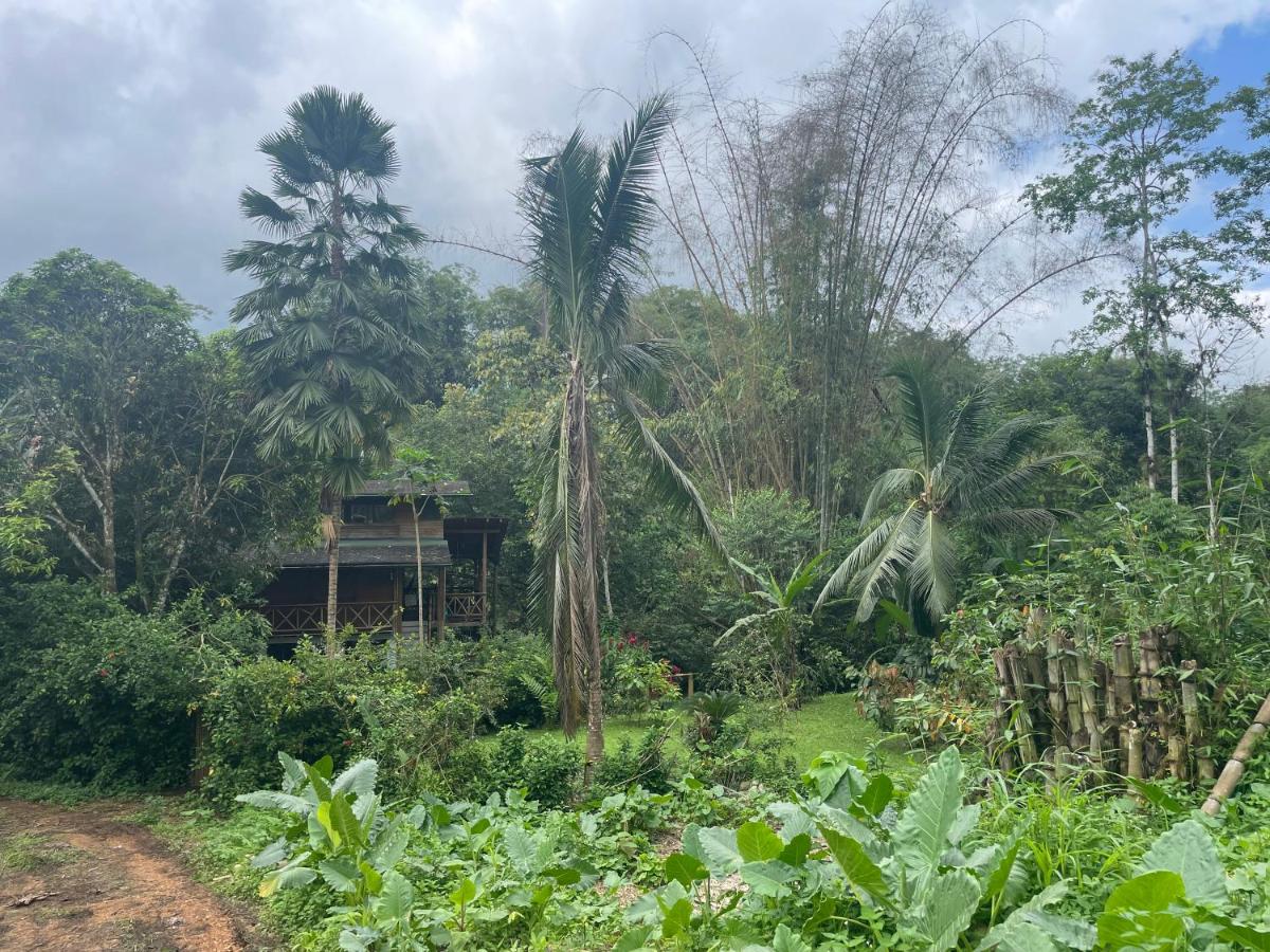 Caoni riverside Lodge - Housity