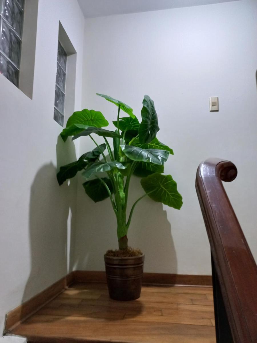 Primavera Silver Hospedaje - Housity