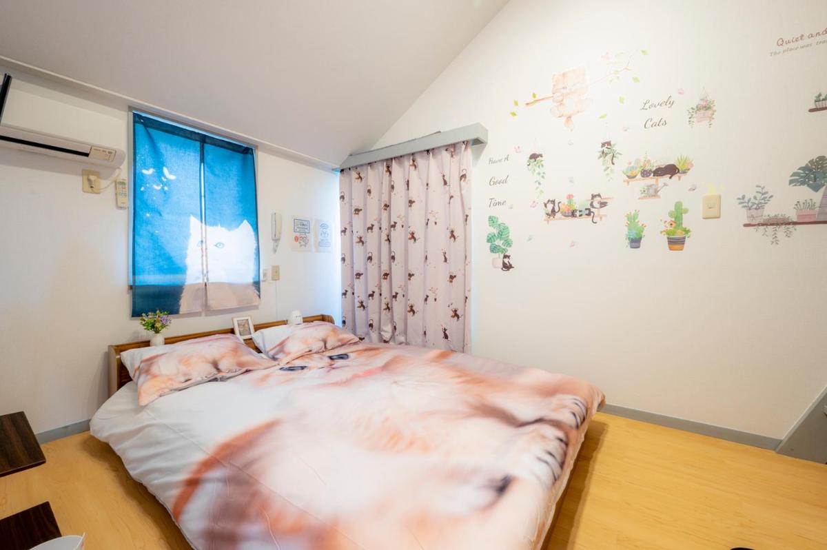 Tokyo Shibuya Shinjyuku Cat House ! - Housity