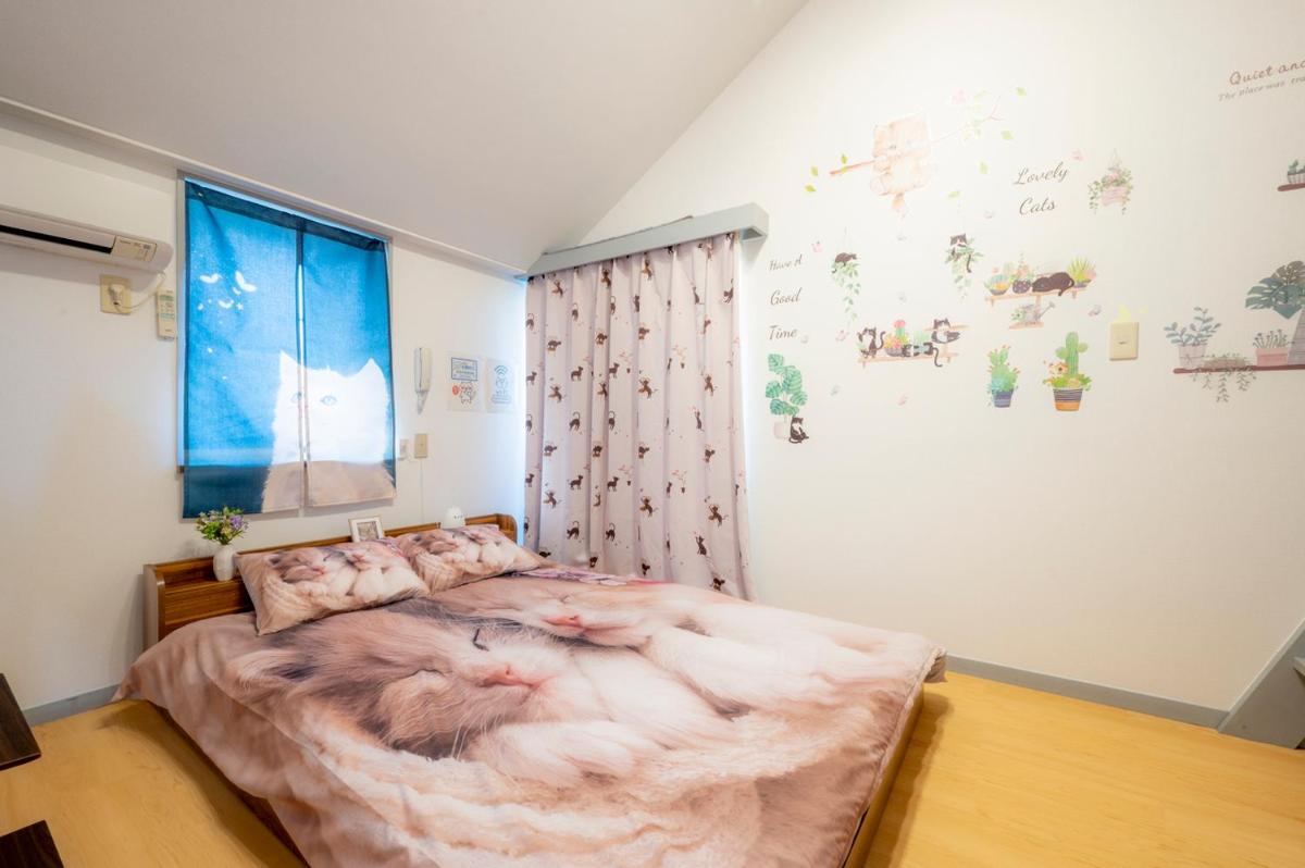 Tokyo Shibuya Shinjyuku Cat House ! - Housity