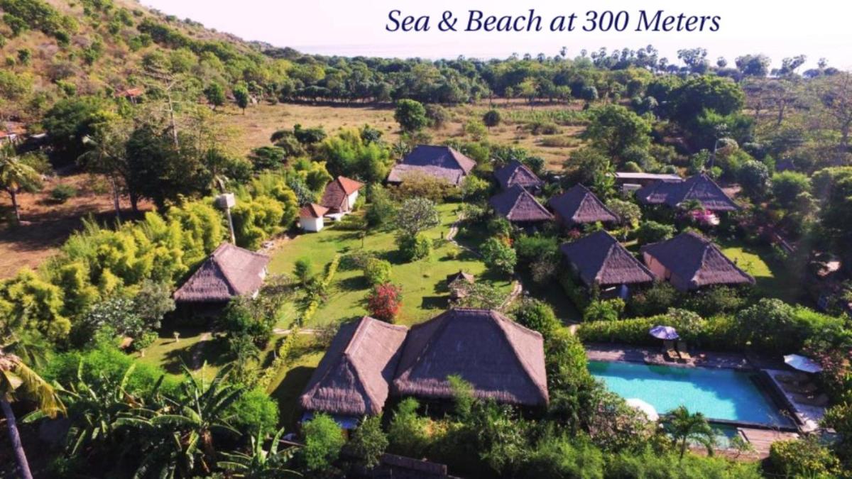 Sunia Loka Bungalows & Dive Center - Housity